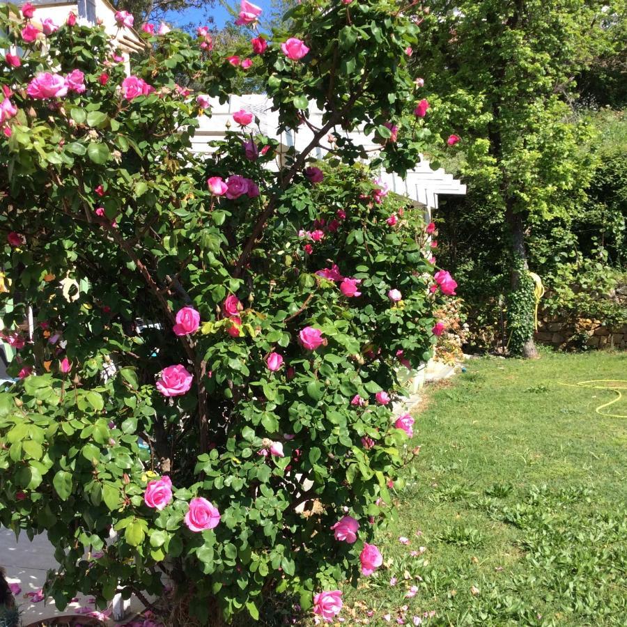 Apartament Bienvenue Chez Alain Et Marie Antibes Zewnętrze zdjęcie